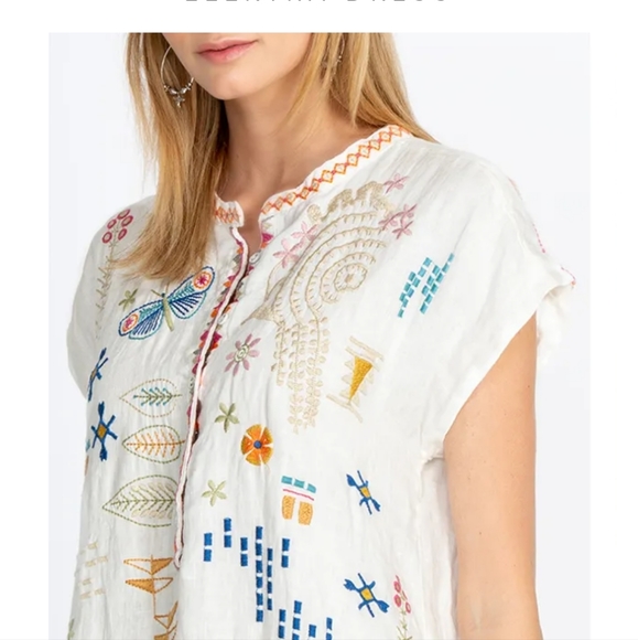 Johnny Was Dresses & Skirts - Johnny was Electra dress xlg